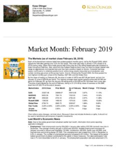thumbnail of Market Review February 2019