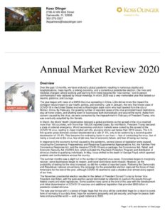 thumbnail of 2020 Annual Market Update